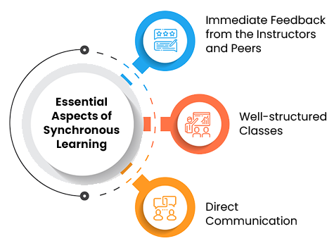 Essential Aspects of Synchronous Learning